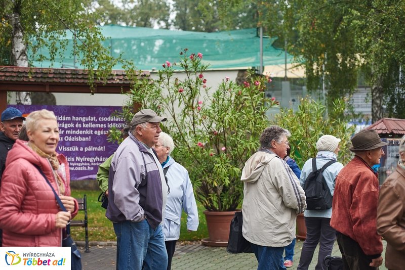 Nyugdíjas séta az Állatparkban