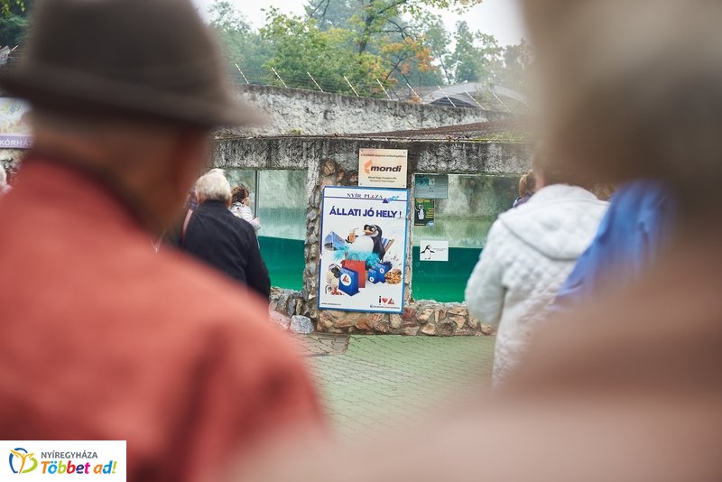 Nyugdíjas séta az Állatparkban