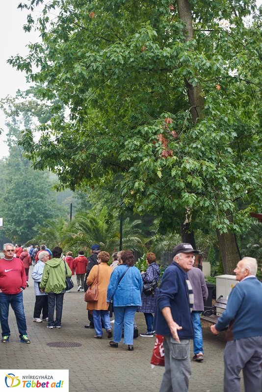 Nyugdíjas séta az Állatparkban