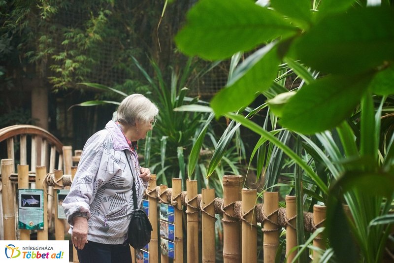 Nyugdíjas séta az Állatparkban