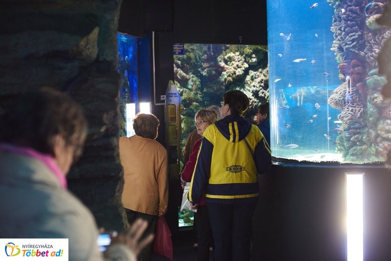 Nyugdíjas séta az Állatparkban