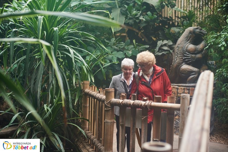 Nyugdíjas séta az Állatparkban