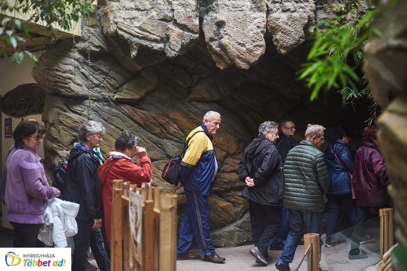 Nyugdíjas séta az Állatparkban