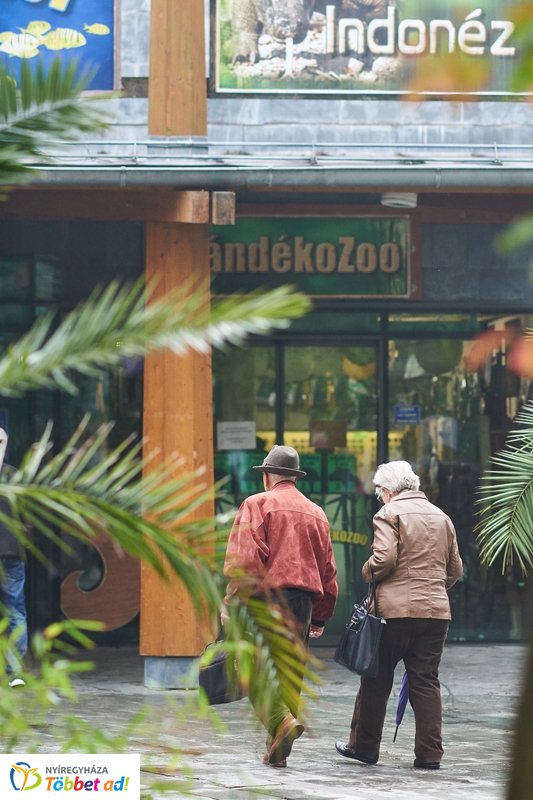 Nyugdíjas séta az Állatparkban