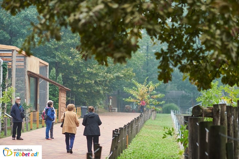 Nyugdíjas séta az Állatparkban