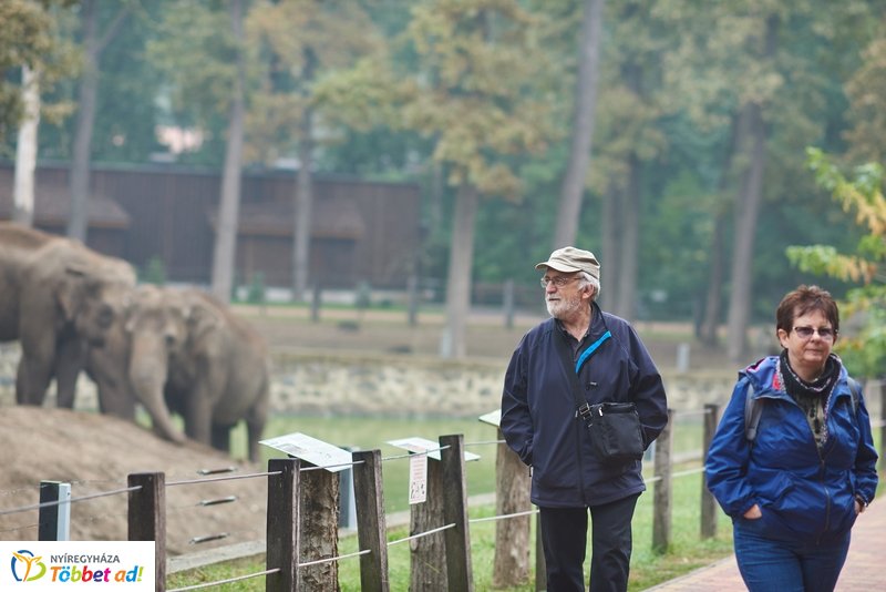 Nyugdíjas séta az Állatparkban