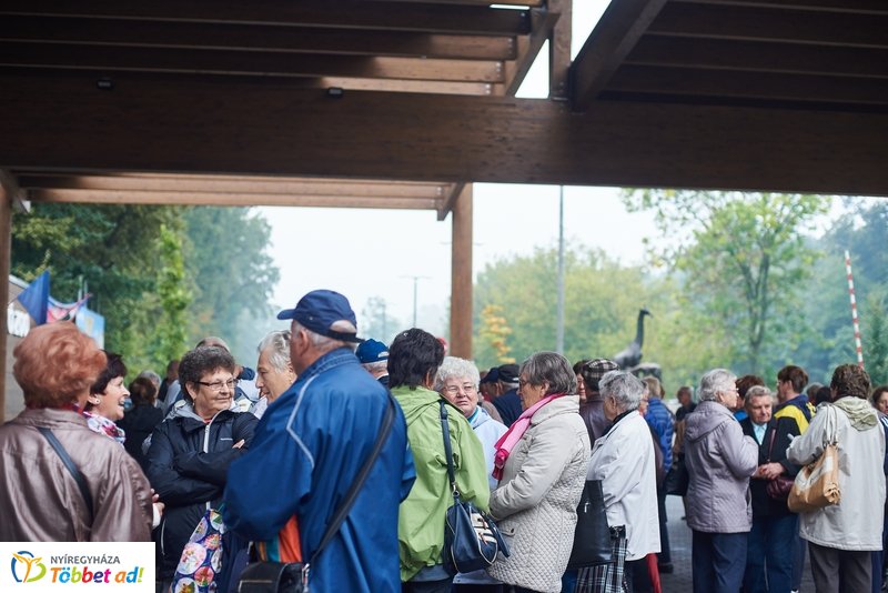 Nyugdíjas séta az Állatparkban