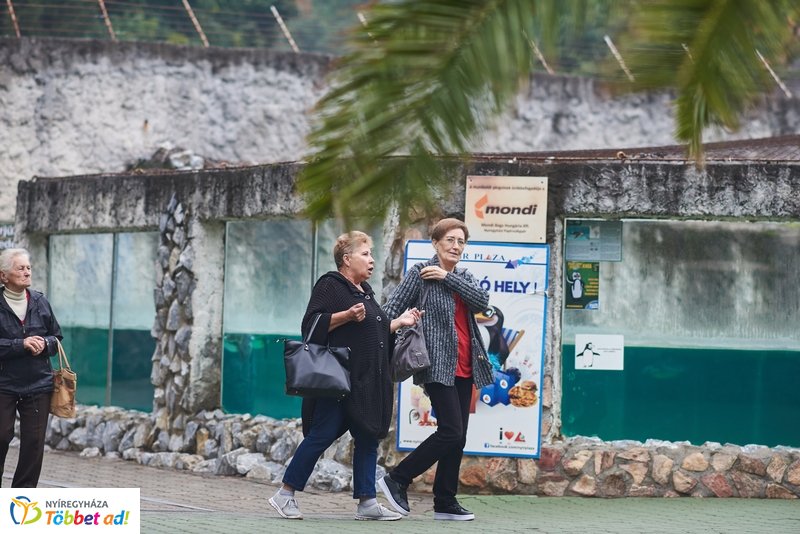 Nyugdíjas séta az Állatparkban