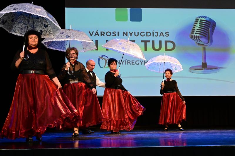 Nyugdíjas Városi Ki mit tud? - 2025