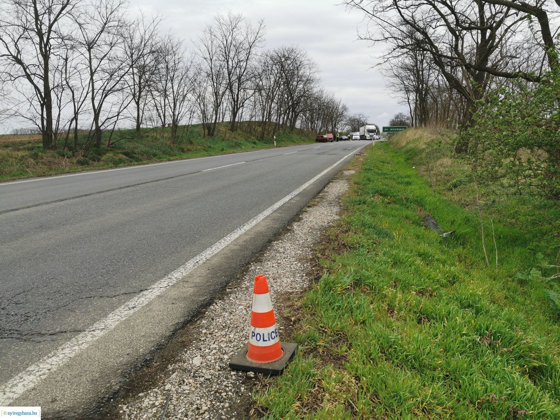 Nyúl okozott balesetet