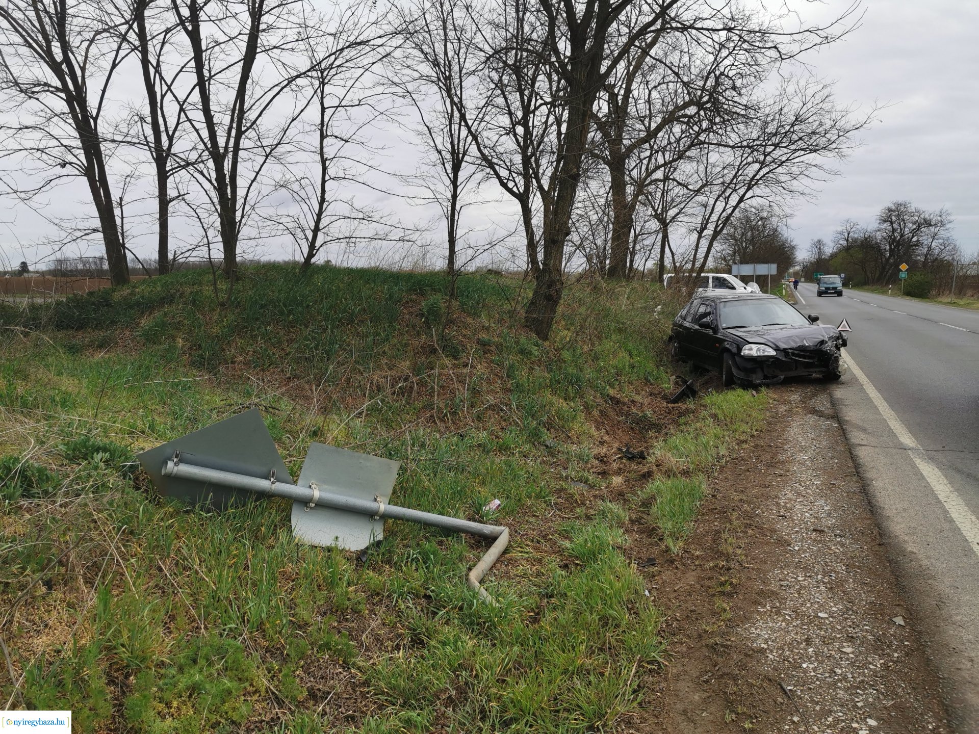 Nyúl okozott balesetet