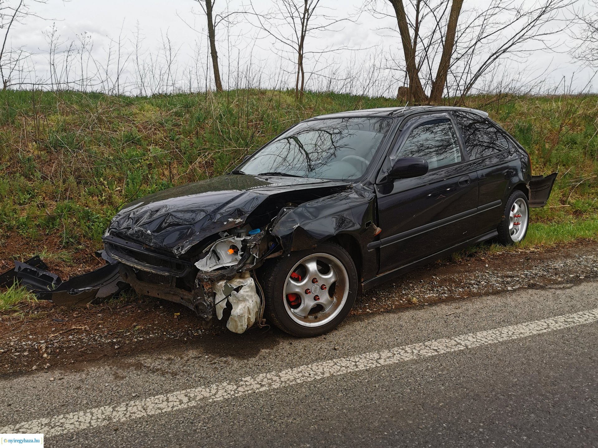 Nyúl okozott balesetet