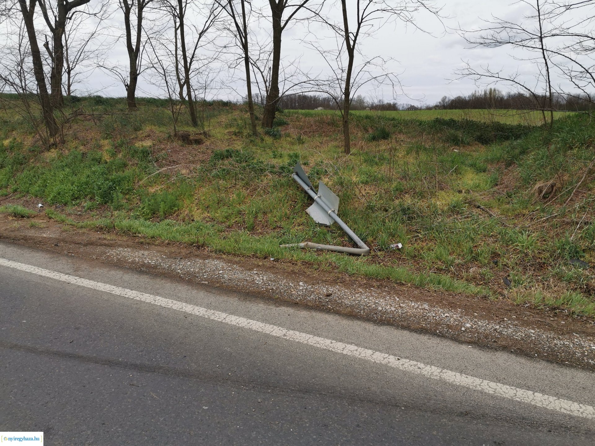 Nyúl okozott balesetet