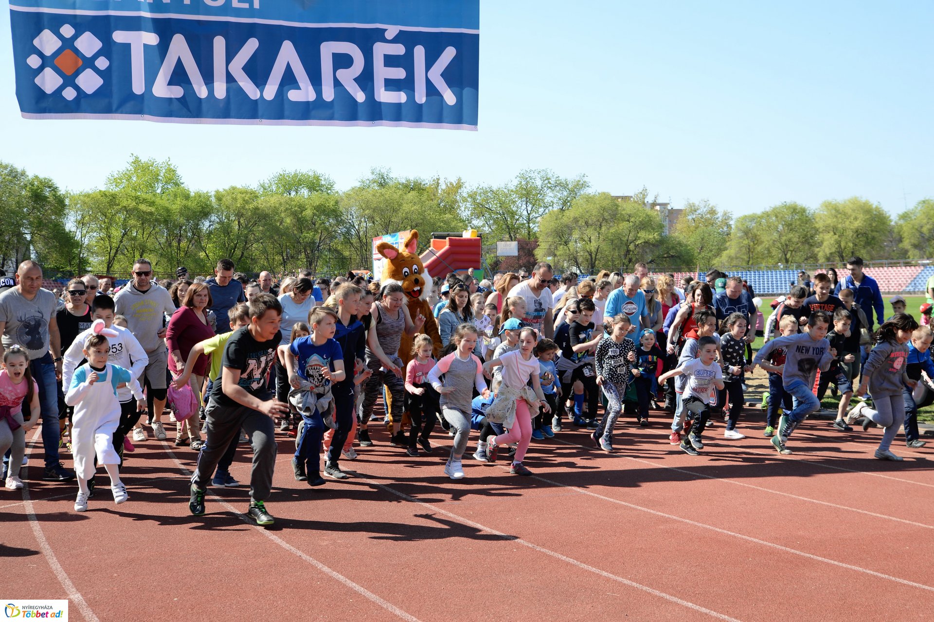 Nyuszi futás 2019