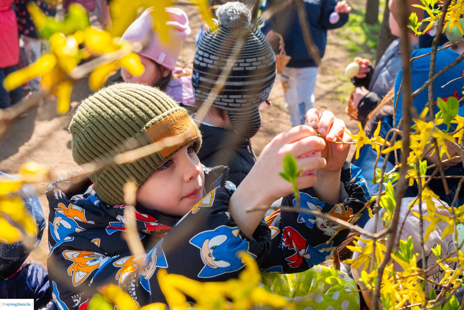 Nyuszi hopp! a Gárdonyiban