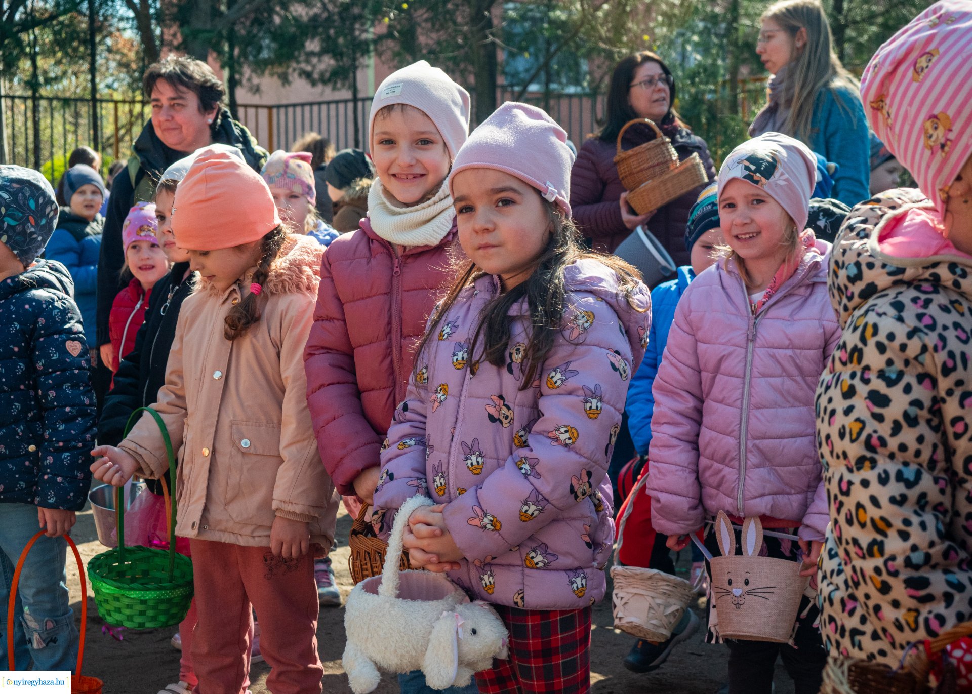 Nyuszi hopp! a Gárdonyiban