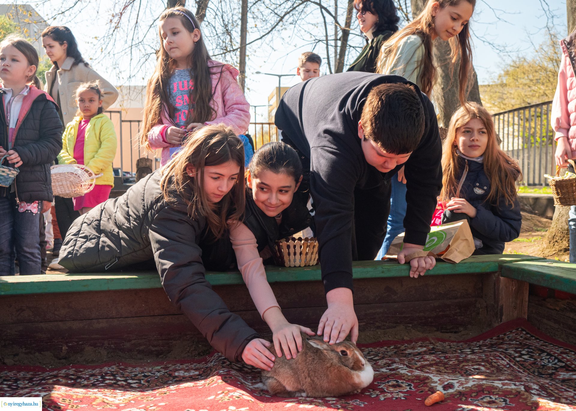 Nyuszi hopp! a Gárdonyiban