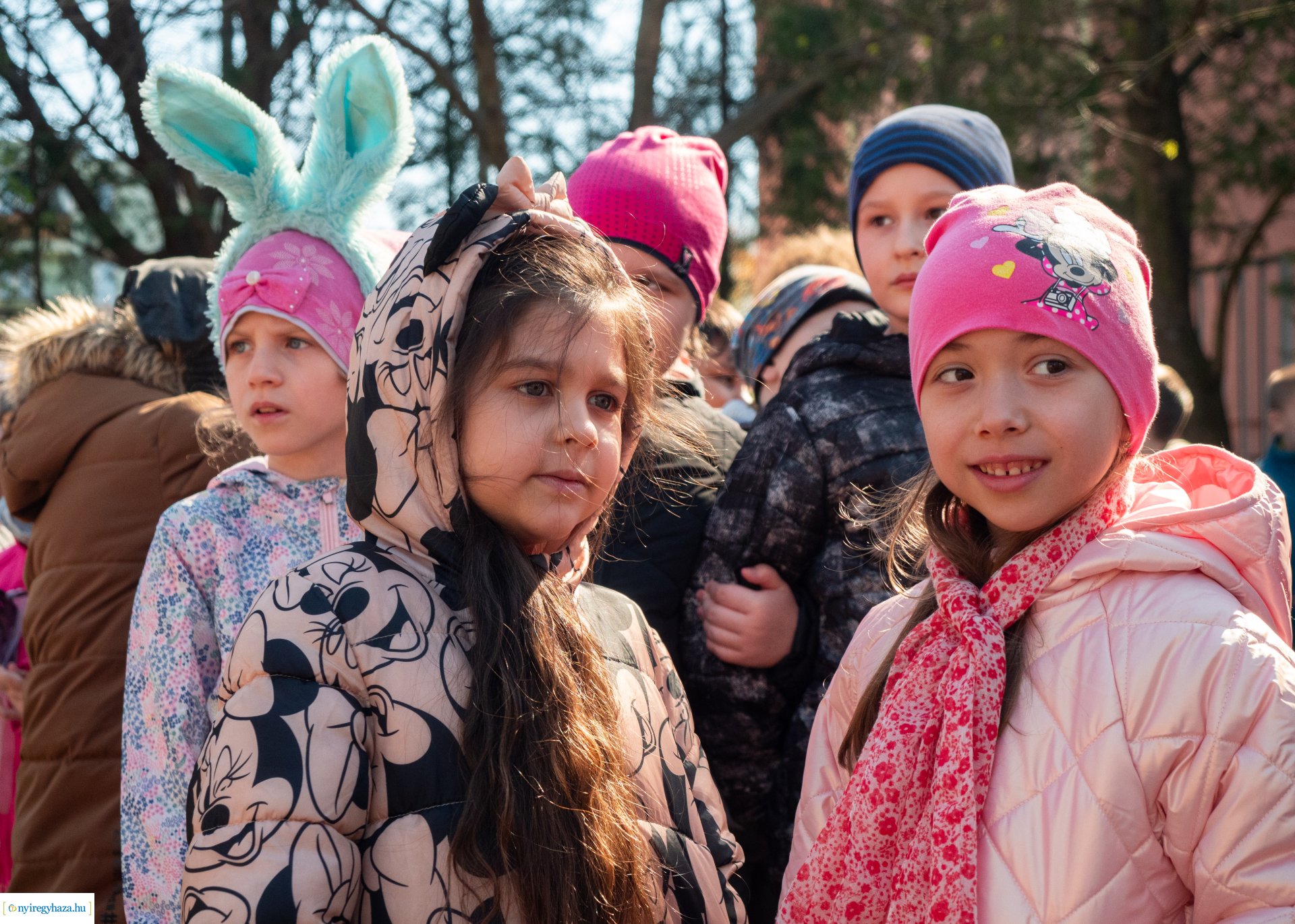 Nyuszi hopp! a Gárdonyiban