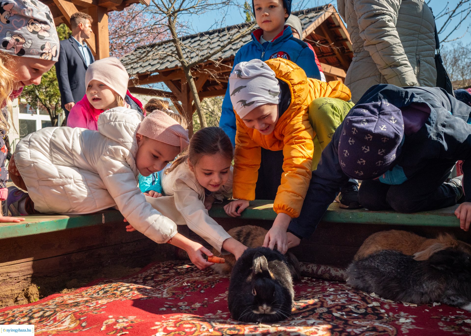 Nyuszi hopp! a Gárdonyiban