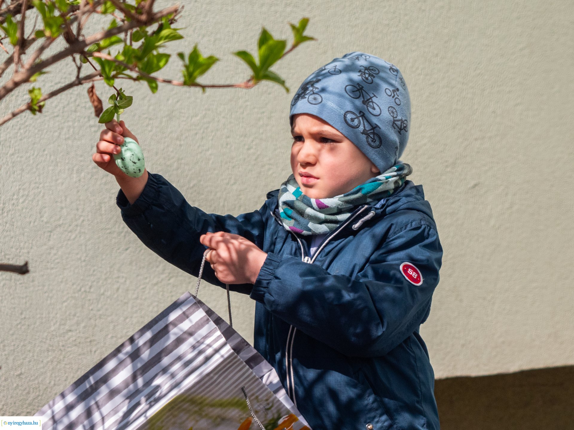 Nyuszi hopp! a Gárdonyiban