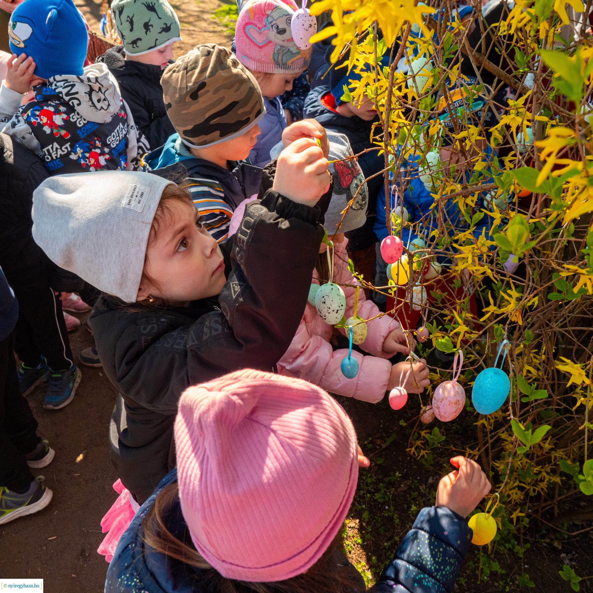 Nyuszi hopp! a Gárdonyiban