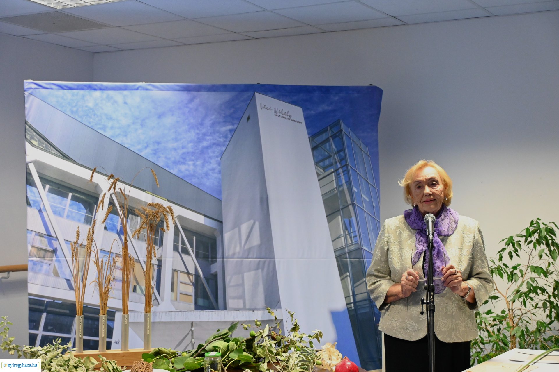 Öregedés művészete - Boronkay Ferencné előadása a VMKK-ban