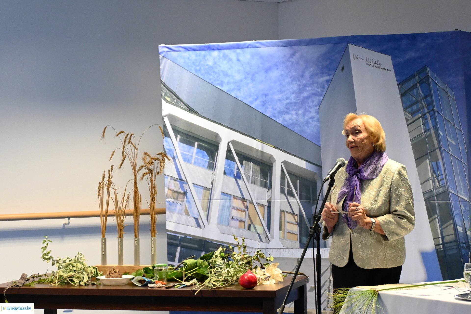 Öregedés művészete - Boronkay Ferencné előadása a VMKK-ban