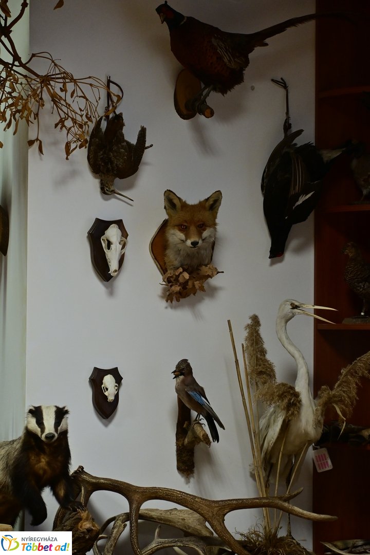 Ökoiskola ünnepélyes támogatói aláírás a Nyírerdőnél 2026