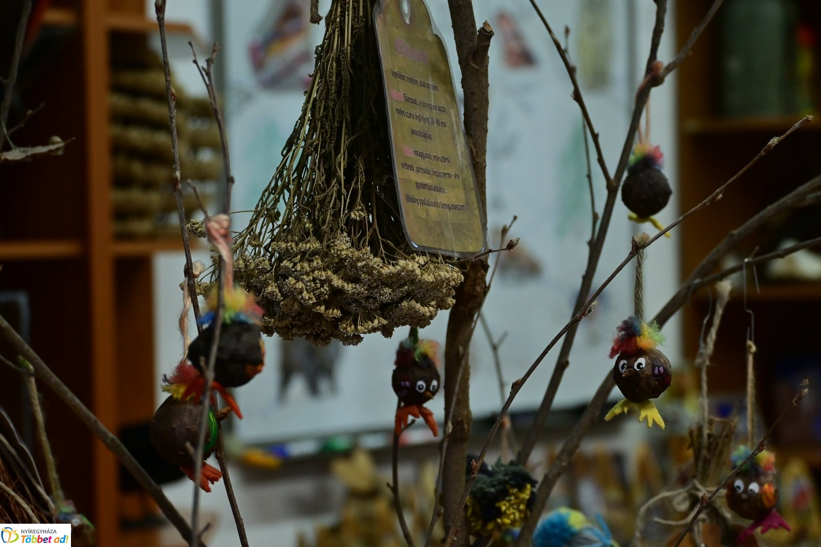 Ökoiskola ünnepélyes támogatói aláírás a Nyírerdőnél 2026