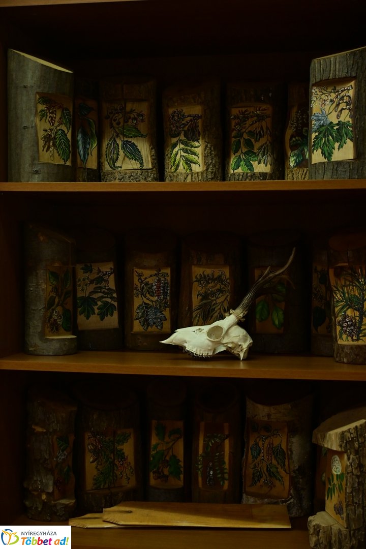 Ökoiskola ünnepélyes támogatói aláírás a Nyírerdőnél 2026