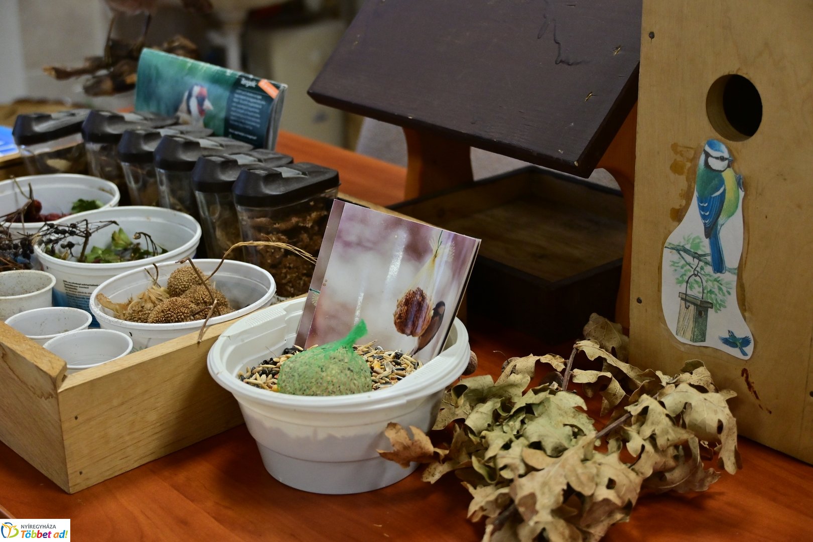 Ökoiskola ünnepélyes támogatói aláírás a Nyírerdőnél 2026