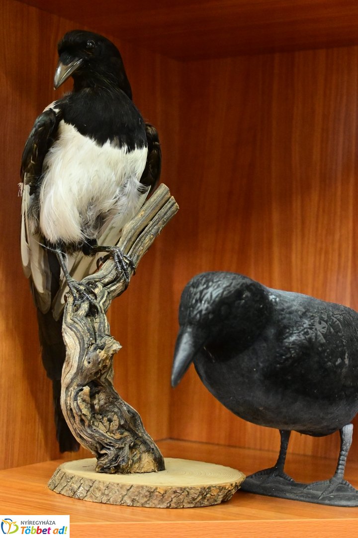 Ökoiskola ünnepélyes támogatói aláírás a Nyírerdőnél 2026