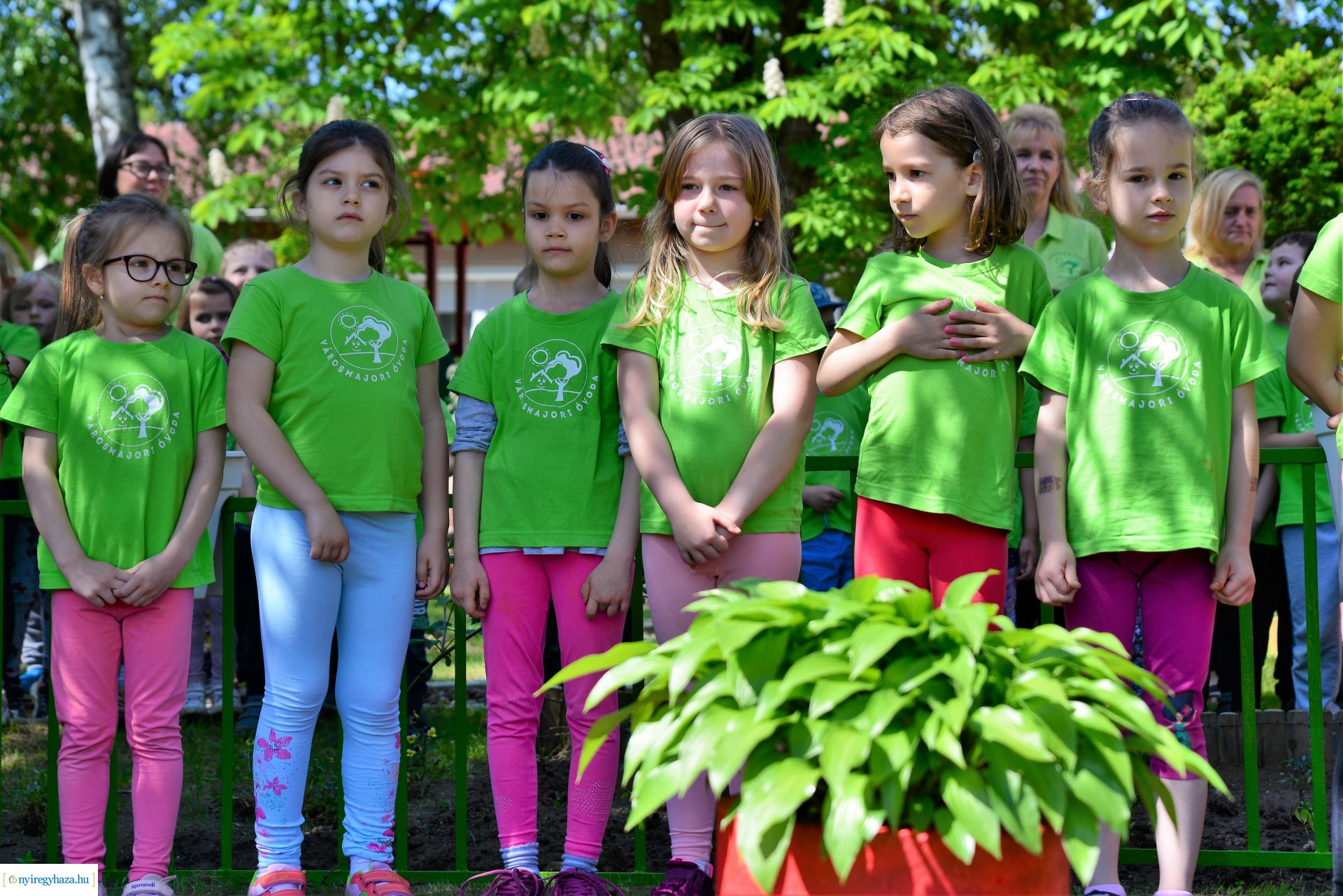 Ökokert átadás a Városmajor utcai óvodában