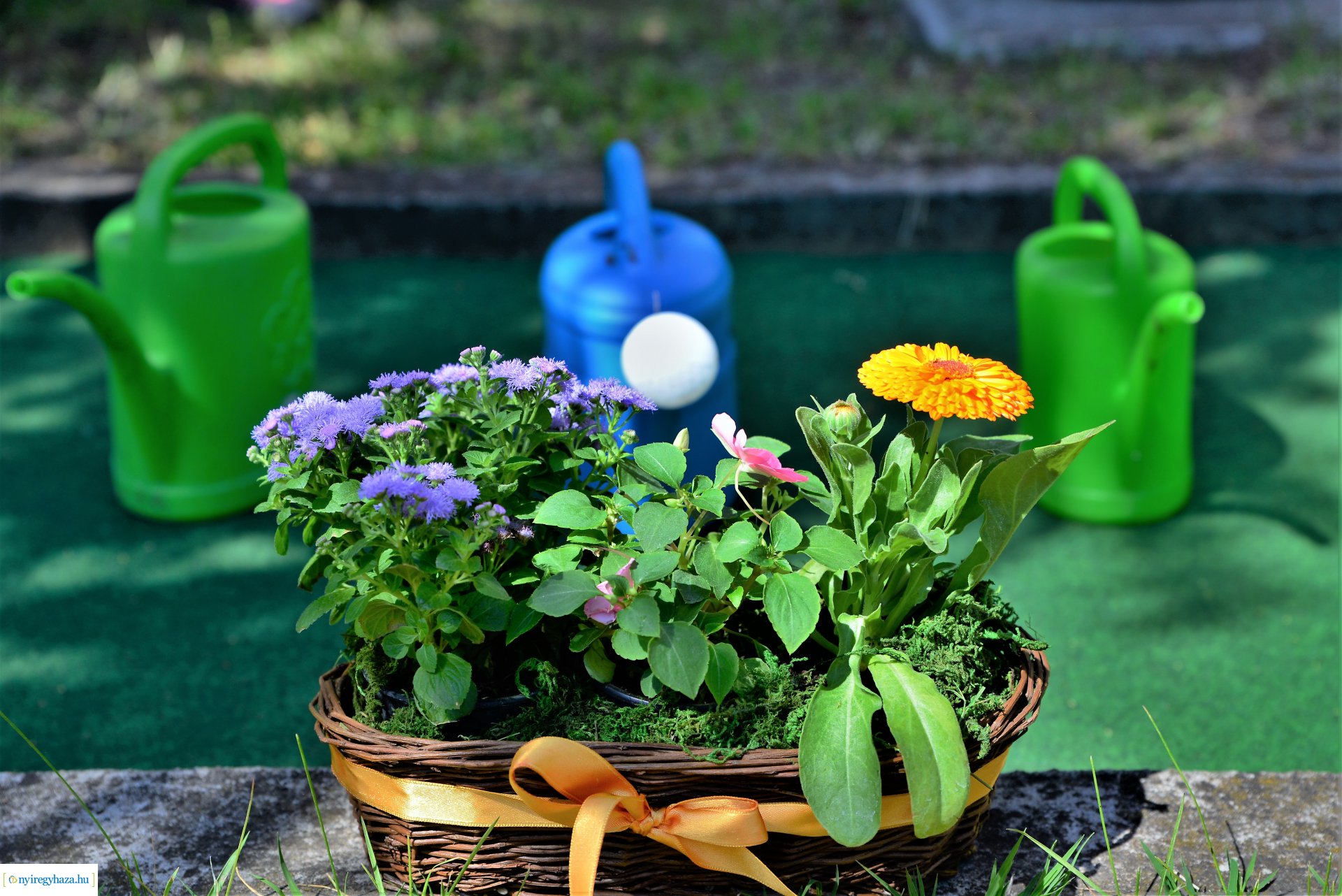 Ökokert átadás a Városmajor utcai óvodában
