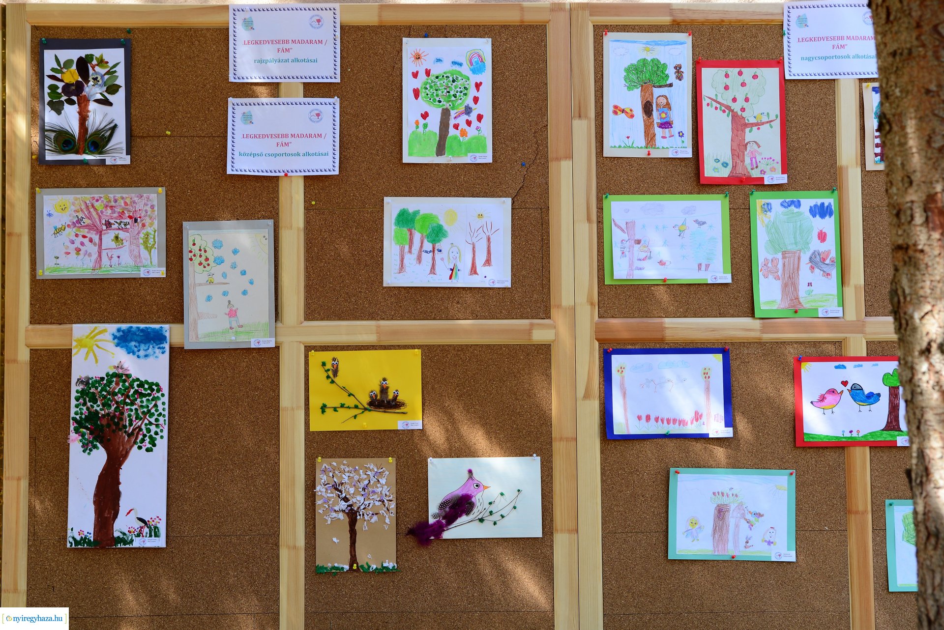 Ökokert átadás a Városmajor utcai óvodában