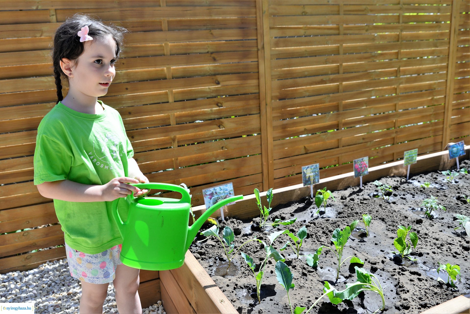 Ökokert átadás a Városmajor utcai óvodában
