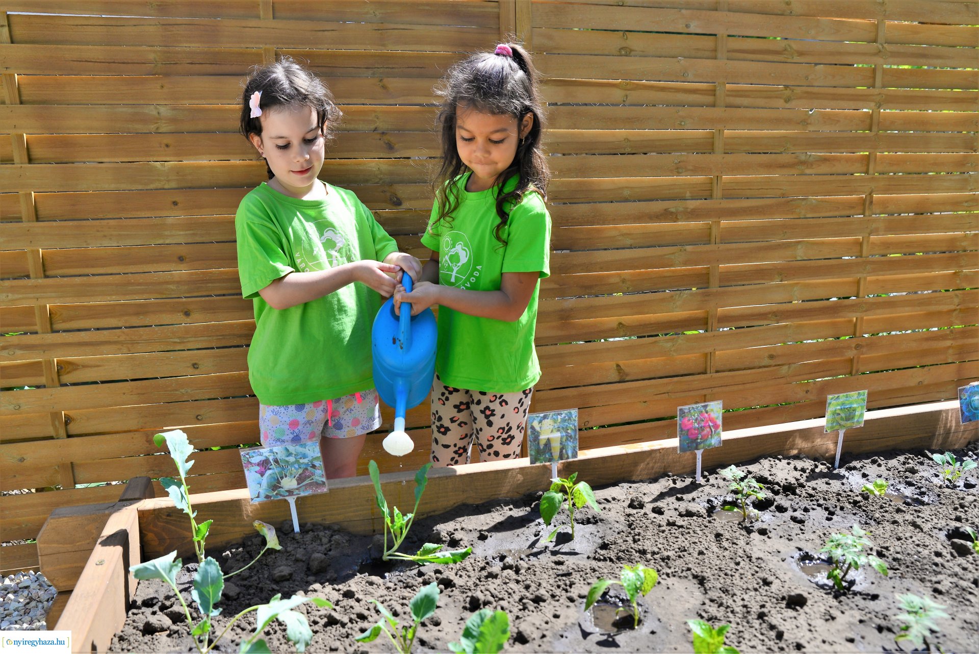 Ökokert átadás a Városmajor utcai óvodában