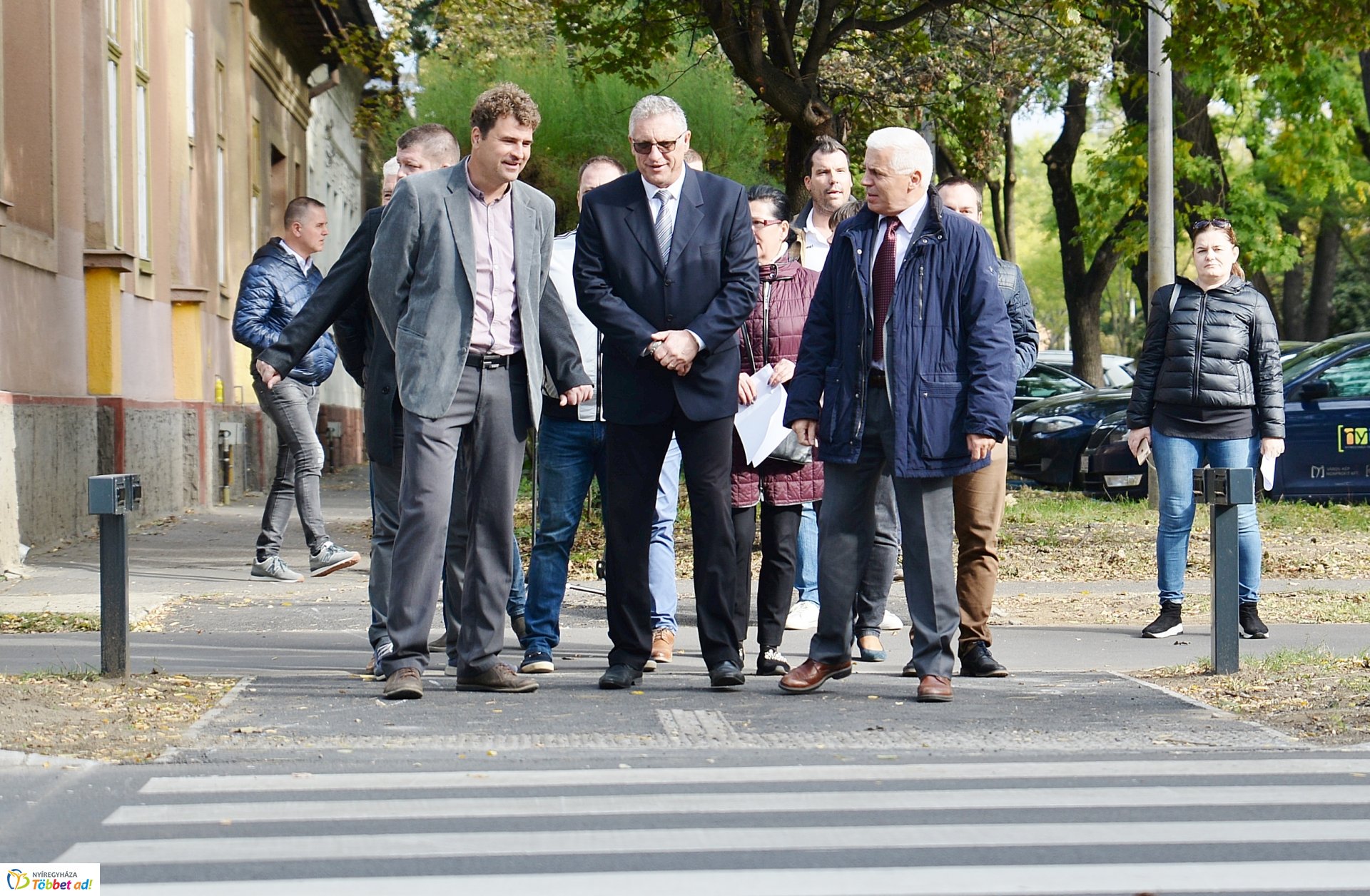 Okos zebra a Bethlen Gábor utcán