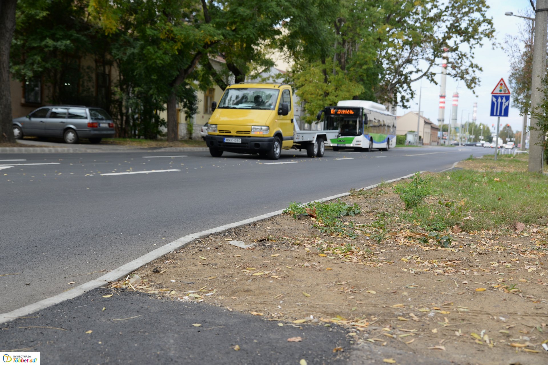 Okos zebra a Bethlen Gábor utcán