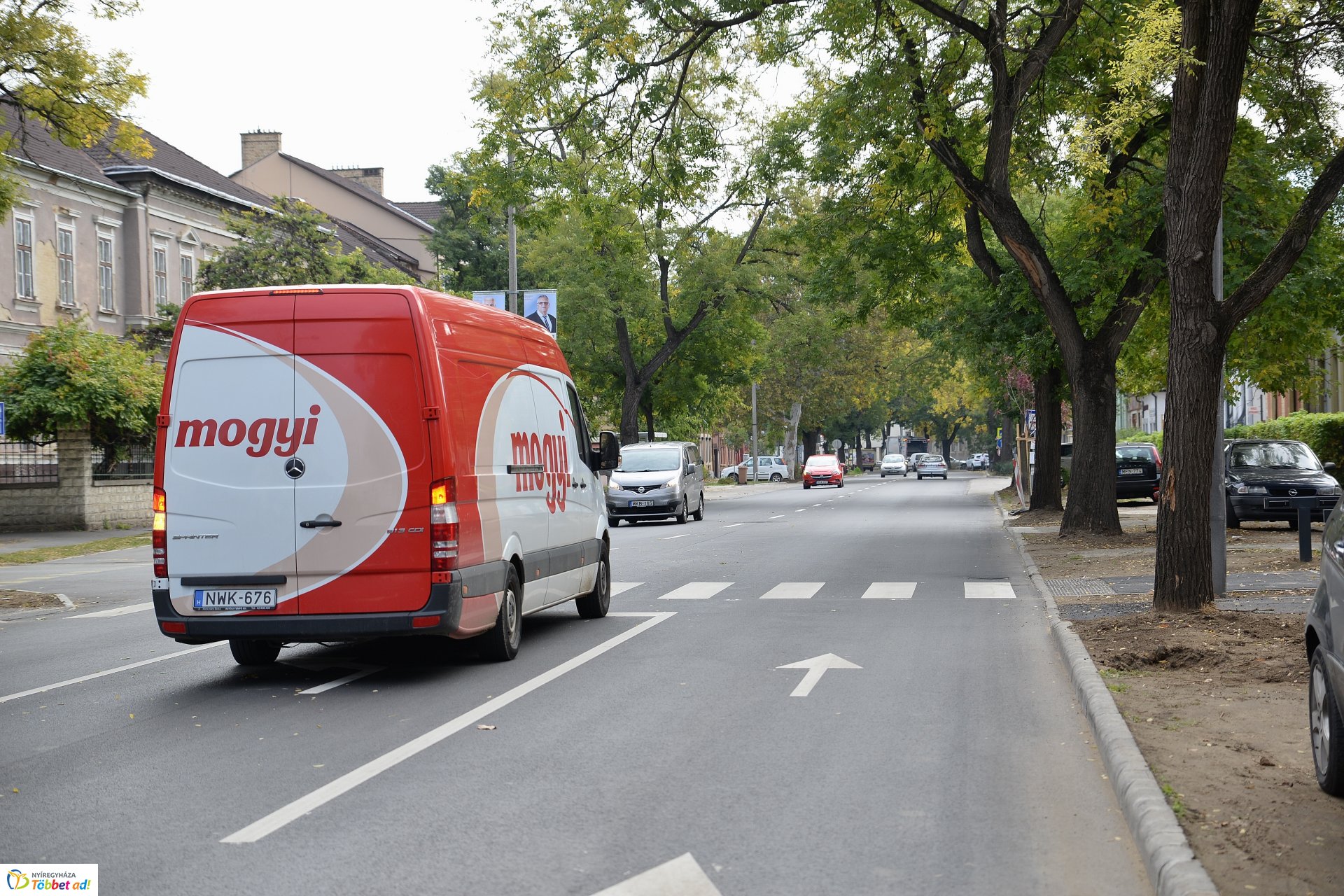 Okos zebra a Bethlen Gábor utcán