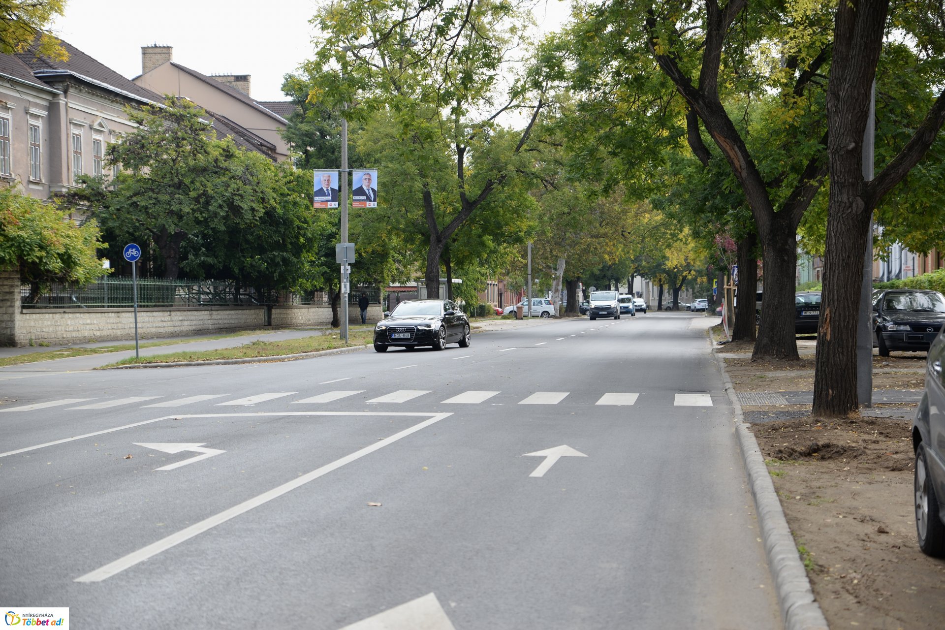 Okos zebra a Bethlen Gábor utcán