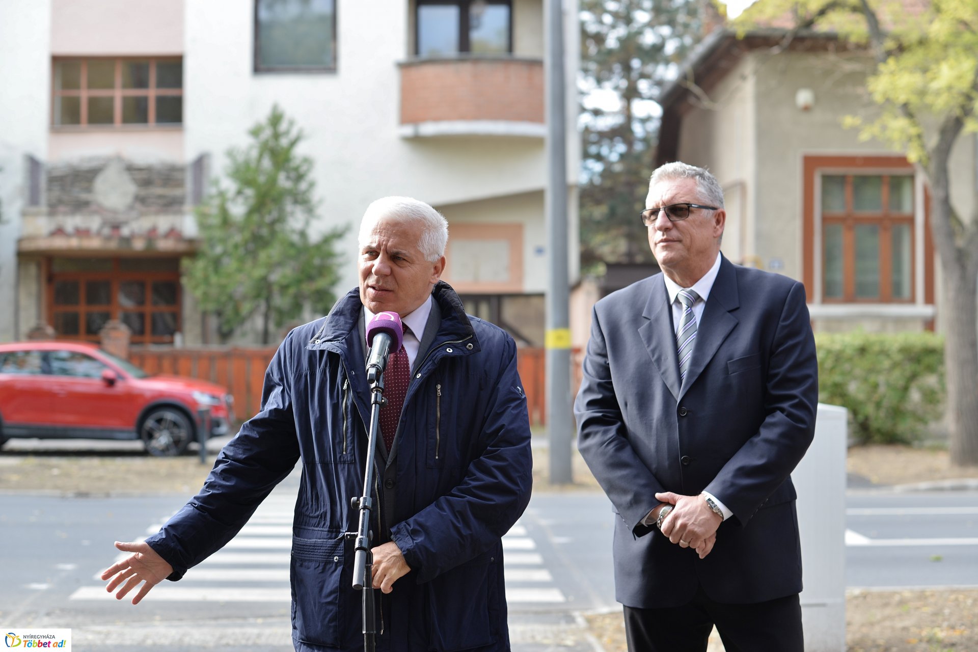 Okos zebra a Bethlen Gábor utcán