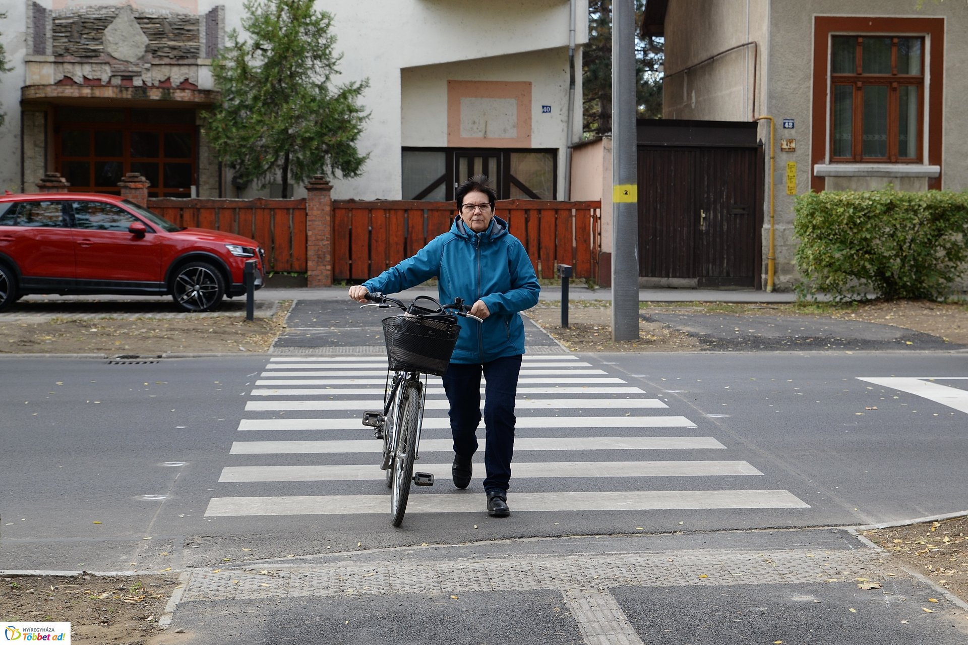 Okos zebra a Bethlen Gábor utcán