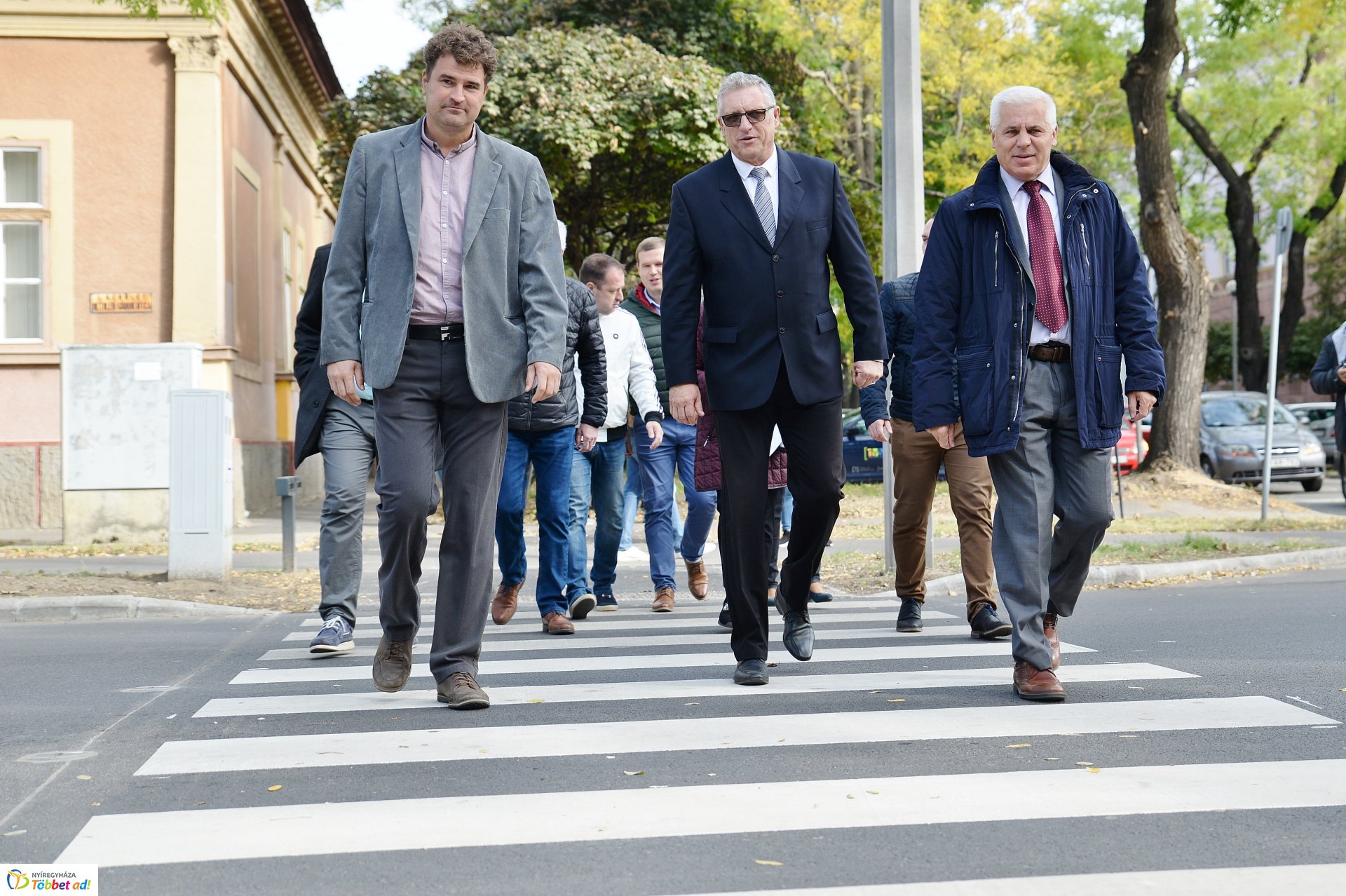 Okos zebra a Bethlen Gábor utcán