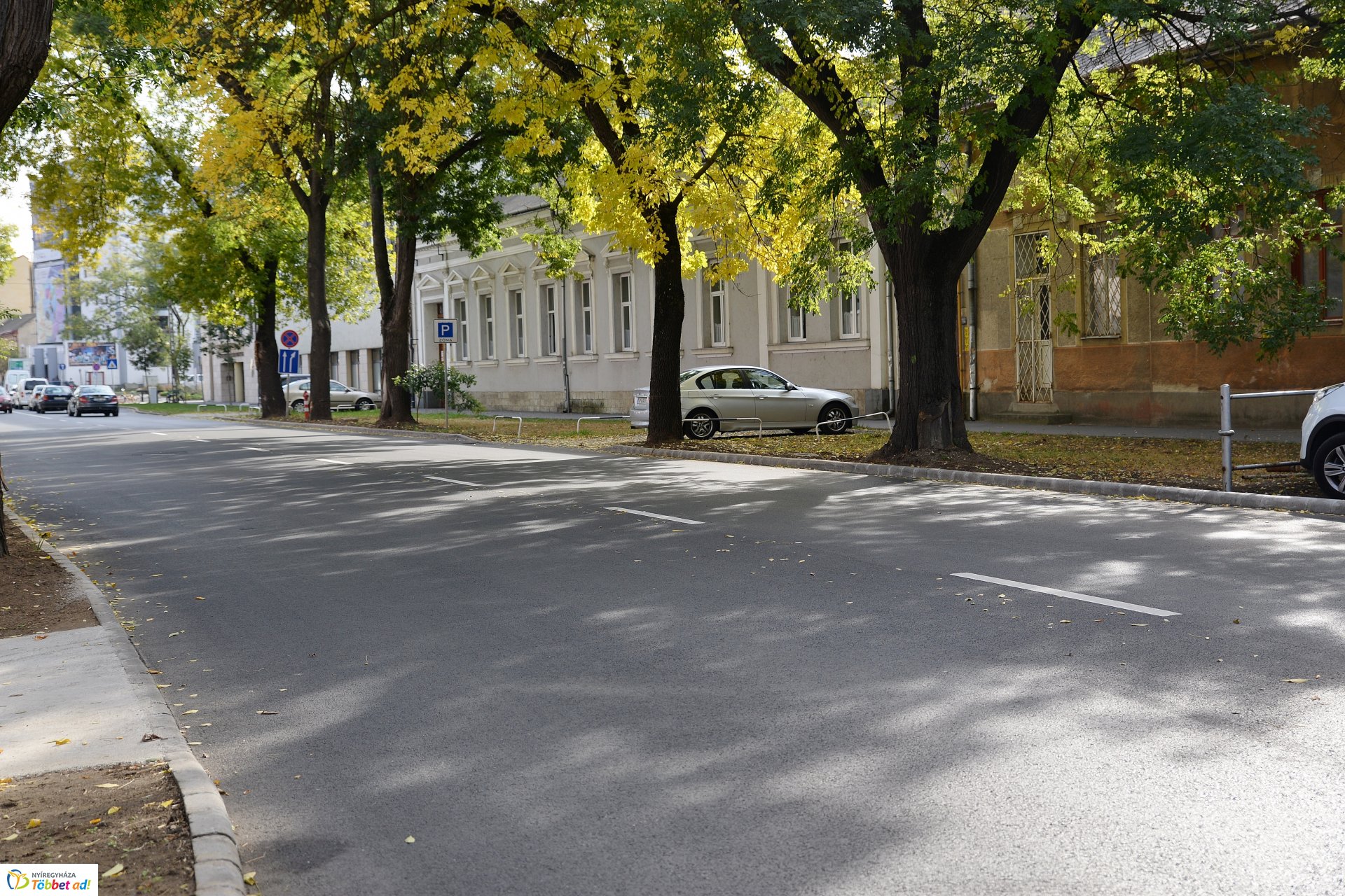 Okos zebra a Bethlen Gábor utcán