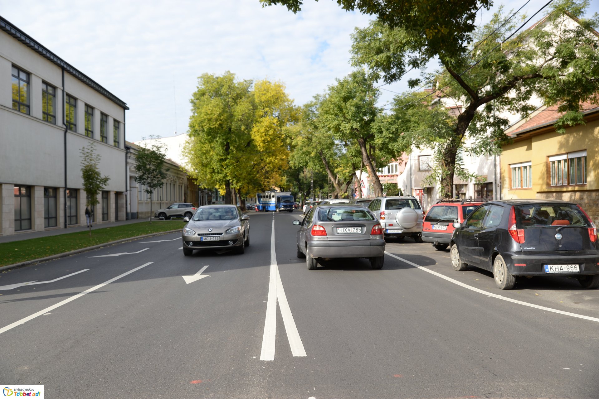 Okos zebra a Bethlen Gábor utcán