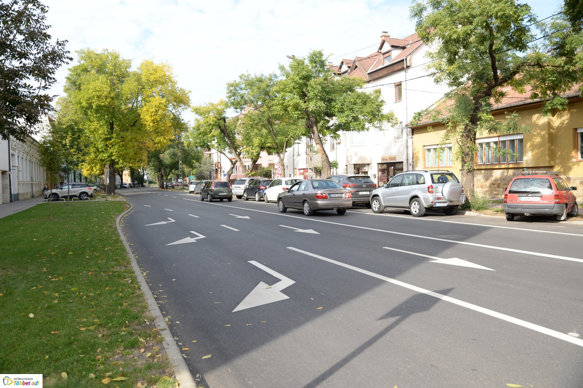 Okos zebra a Bethlen Gábor utcán