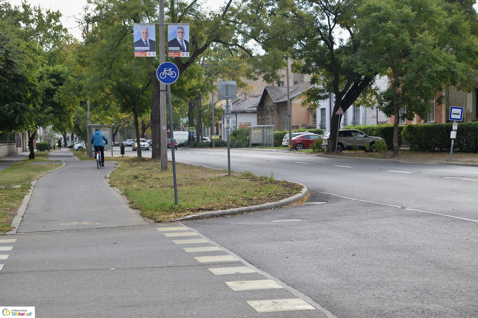 Okos zebra a Bethlen Gábor utcán