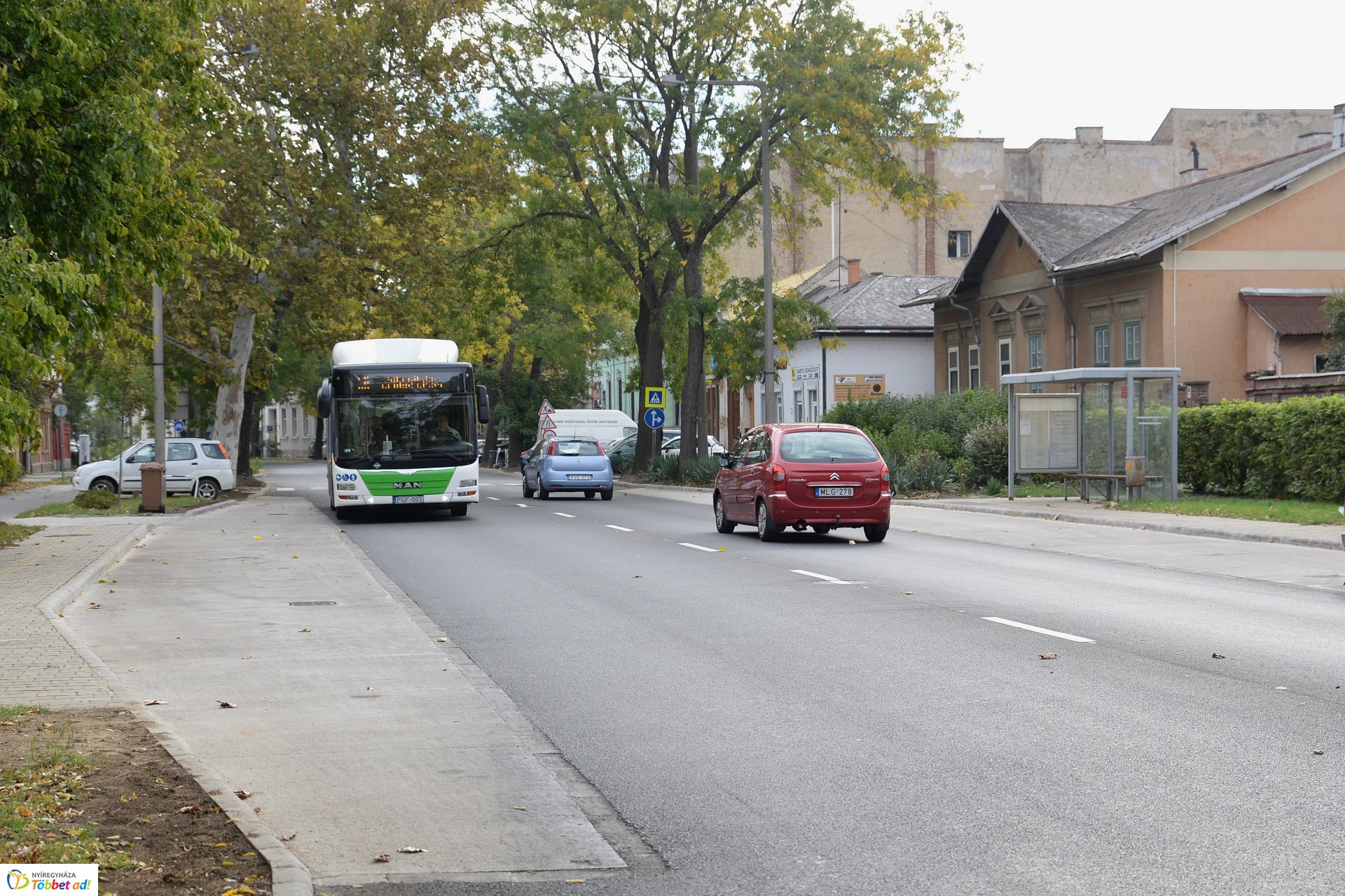 Okos zebra a Bethlen Gábor utcán