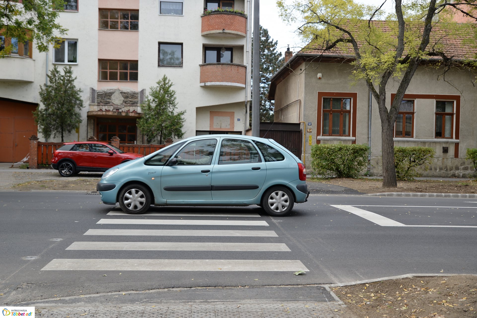 Okos zebra a Bethlen Gábor utcán